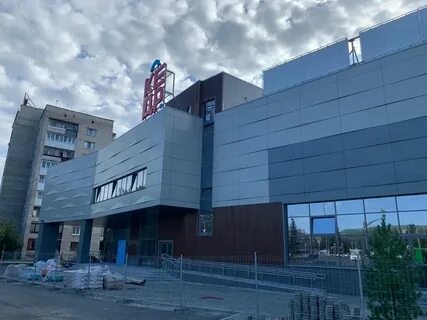 Кедр новоуральск