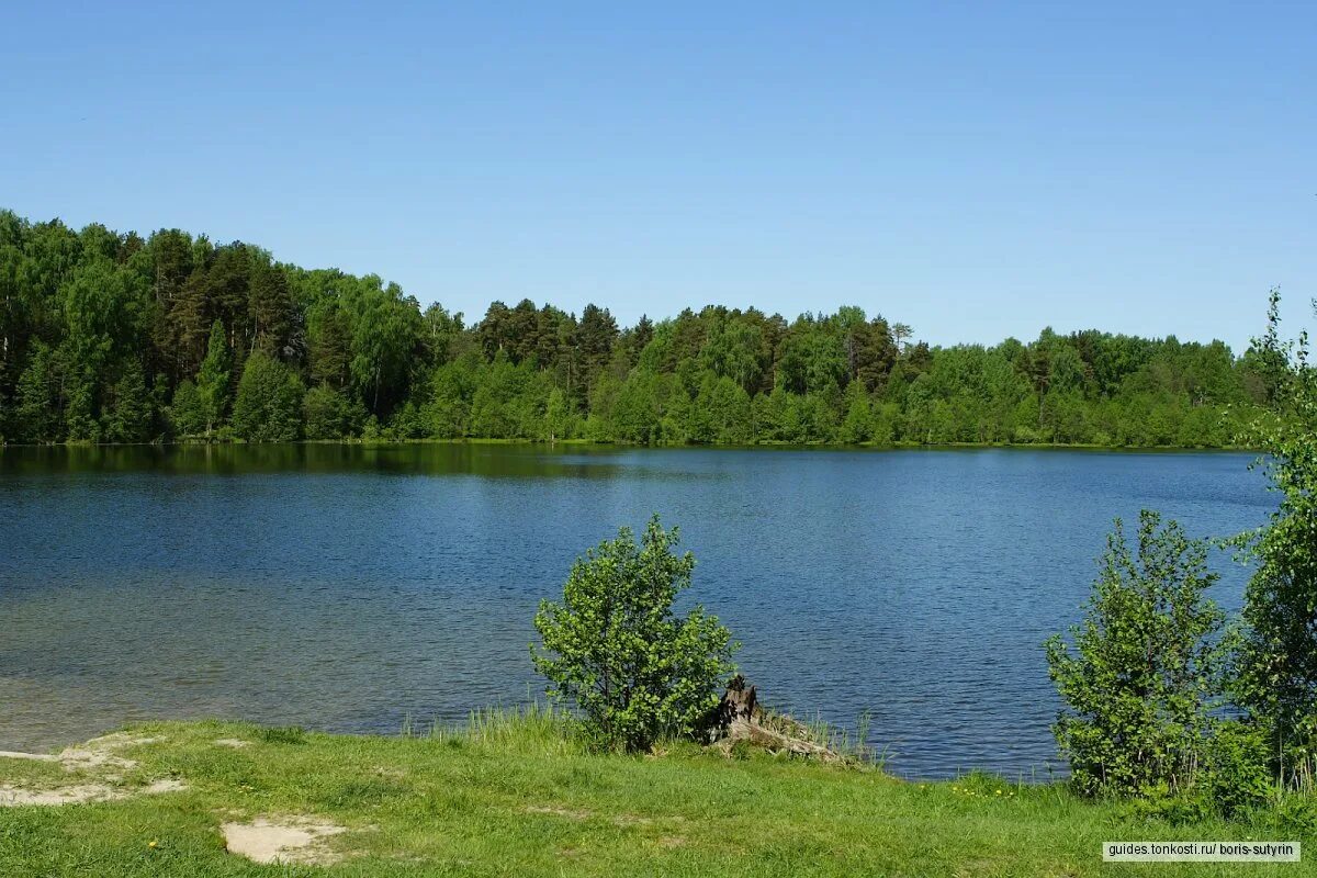 Озеро светлояр нижегородская. Светлояр нижегородская область. Кафе светлояр семенов. Озеро светлояр. Владимирское нижегородская область светлояр.