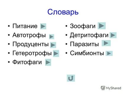 Редуцент 2 детритофаг 3 фитофаг