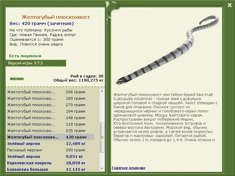 токарев эх хвост чешуя не поймал я ничего. песня хвост чешуя. песня эх хвост чешуя не поймал я ничего. песня эх хвост чешуя. эх хвост чешуя.