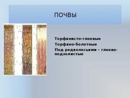 Плодородие глеевых почв