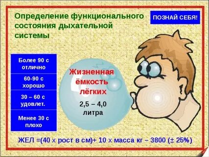 Состояние дыхания