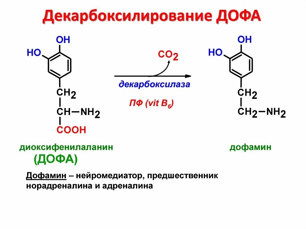 Декарбоксилирование бензойной. Декарбоксилирование диоксифенилаланина реакция. Декарбоксилирование оксалата кальция. Декарбоксилирование с образованием бензола.