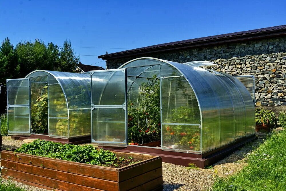 теплица усиленная уралочка усиленная. теплицы работы поликарбонат. теплица тмкн слава сп 210х300см. теплица 4х12 поликарбоната. монтаж теплицы.