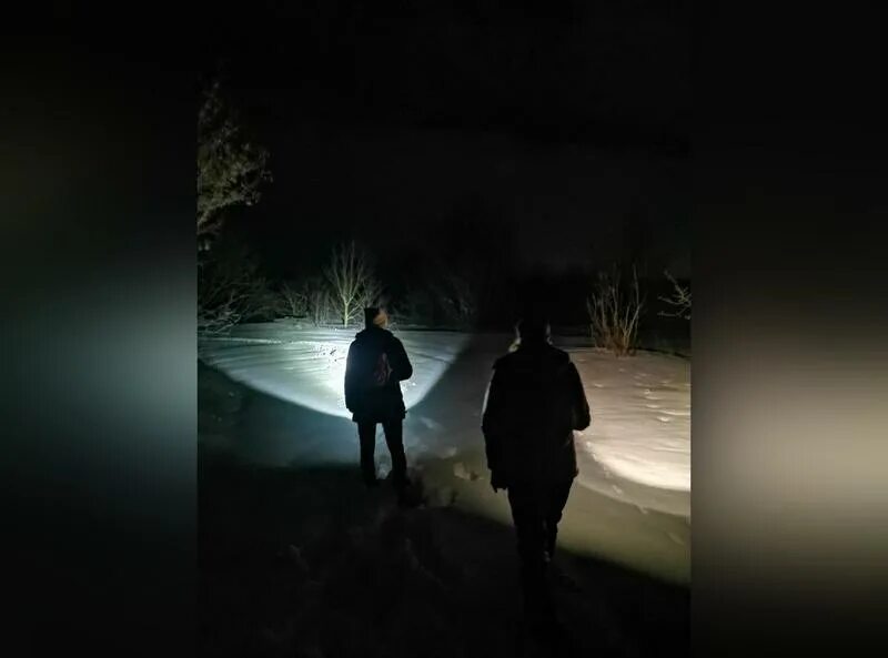 Исчезающие в темноте тимошенко