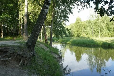 Ржевский лесопарк санкт петербург