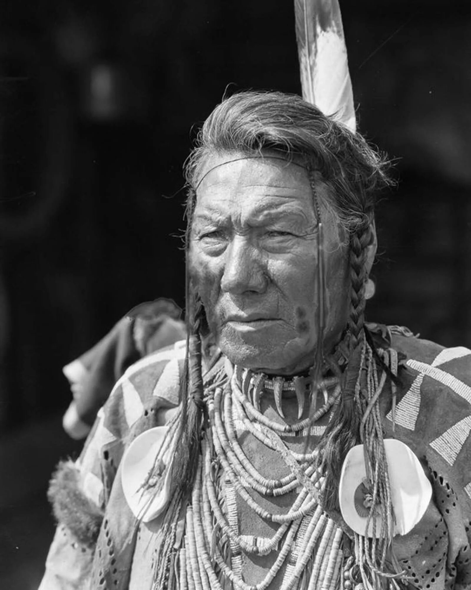 First natives