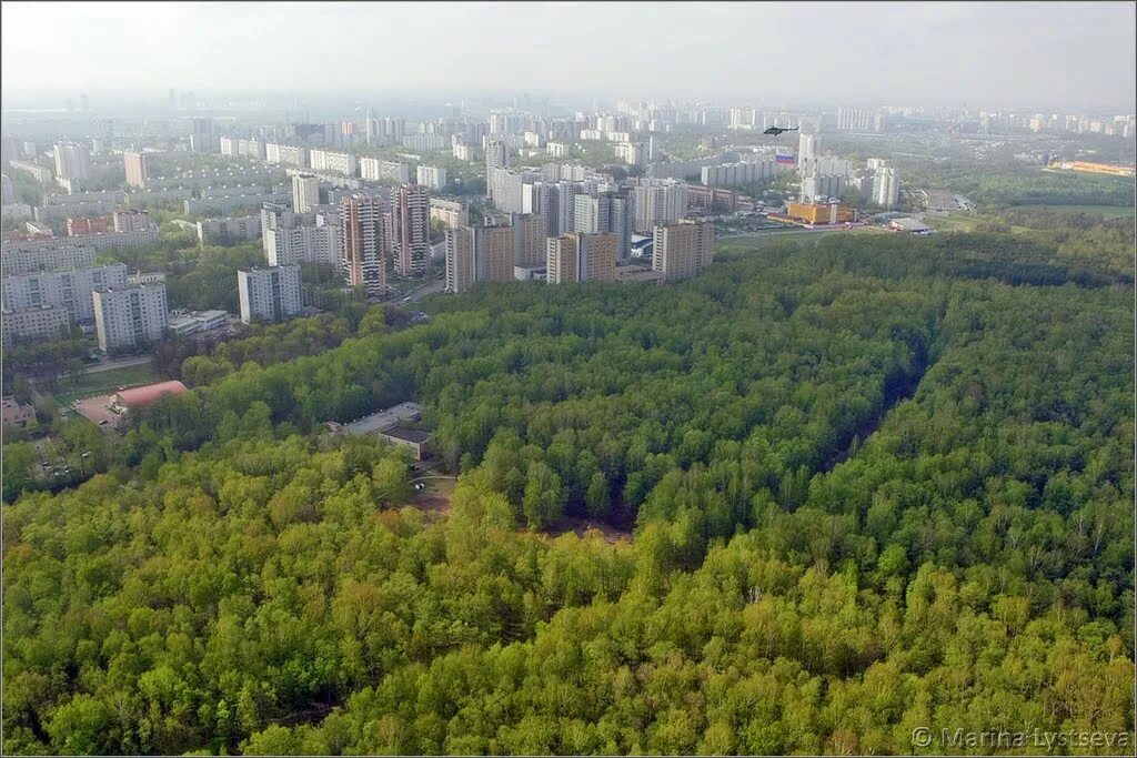 централ парк нью-йорк. нью йорк центральный парк здания. парк манхэттен нью-йорк. рекреационный центр битцевский лес. централ парк нью-йорк здание.