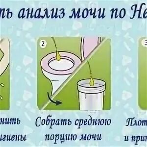Как долго хранится моча