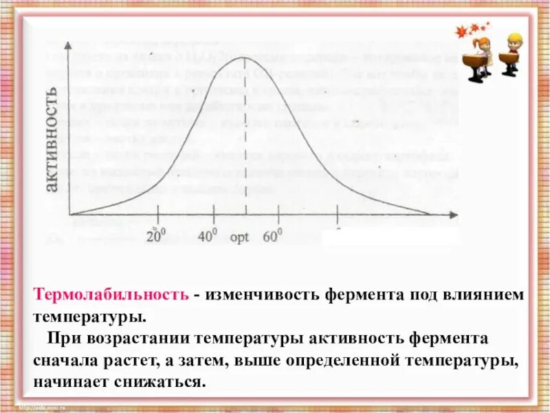 Температура при активности. График термолабильности ферментов. Понятие о термолабильности ферментов. Термолабильность ферментов, изобразить графически.. Термолабильность ферментов биохимия.