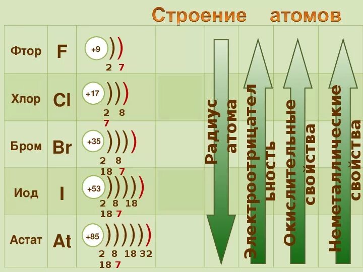 Количество электронов фтора. Галогены строение атомов схема строения. Схемы строения атомов галогенов. Схема электронного строения атома брома. Электронная конфигурация атома брома.