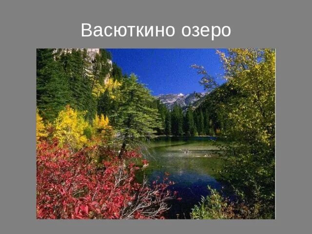 Карта васюткино озеро 5. Васюткино озеро. Васюткино озеро фото. Васюткино озеро в реальной жизни. Васюткино озеро фото озера.