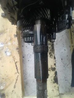 Хвостовик газель