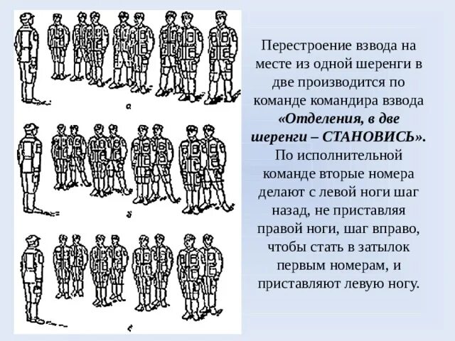 Строевая подготовка перестроение в 3 шеренги. Команда для построения в шеренгу. Построение Строй и шеренга. Перестроение из одной шеренги в две. Какие команды подаются для изменения направления движения