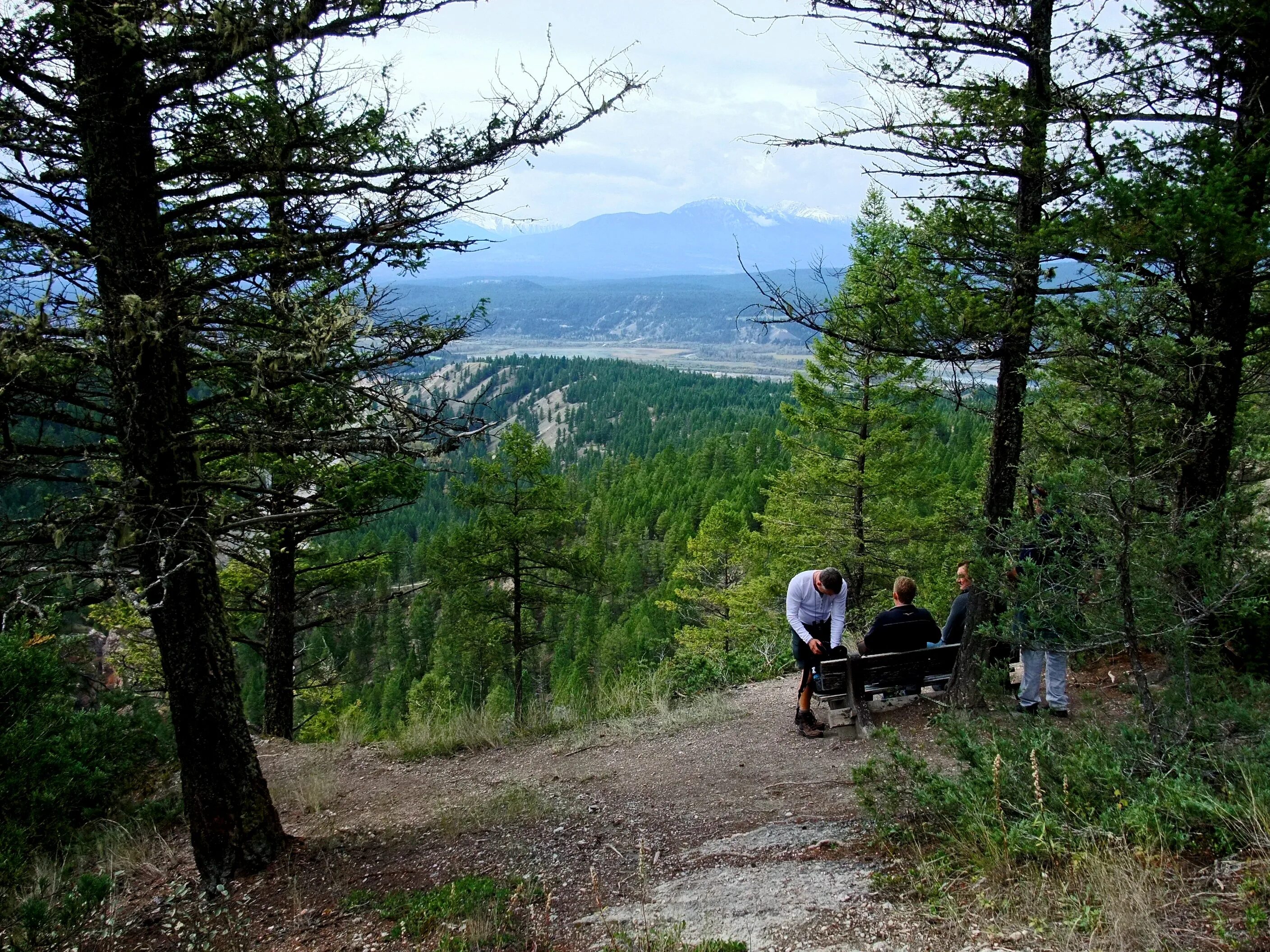 В лесах в горах содержание. Горы лес поход. Пешие походы Горно Лесистая местность. Поход в горы Канада. Пешком по горам в лесу.