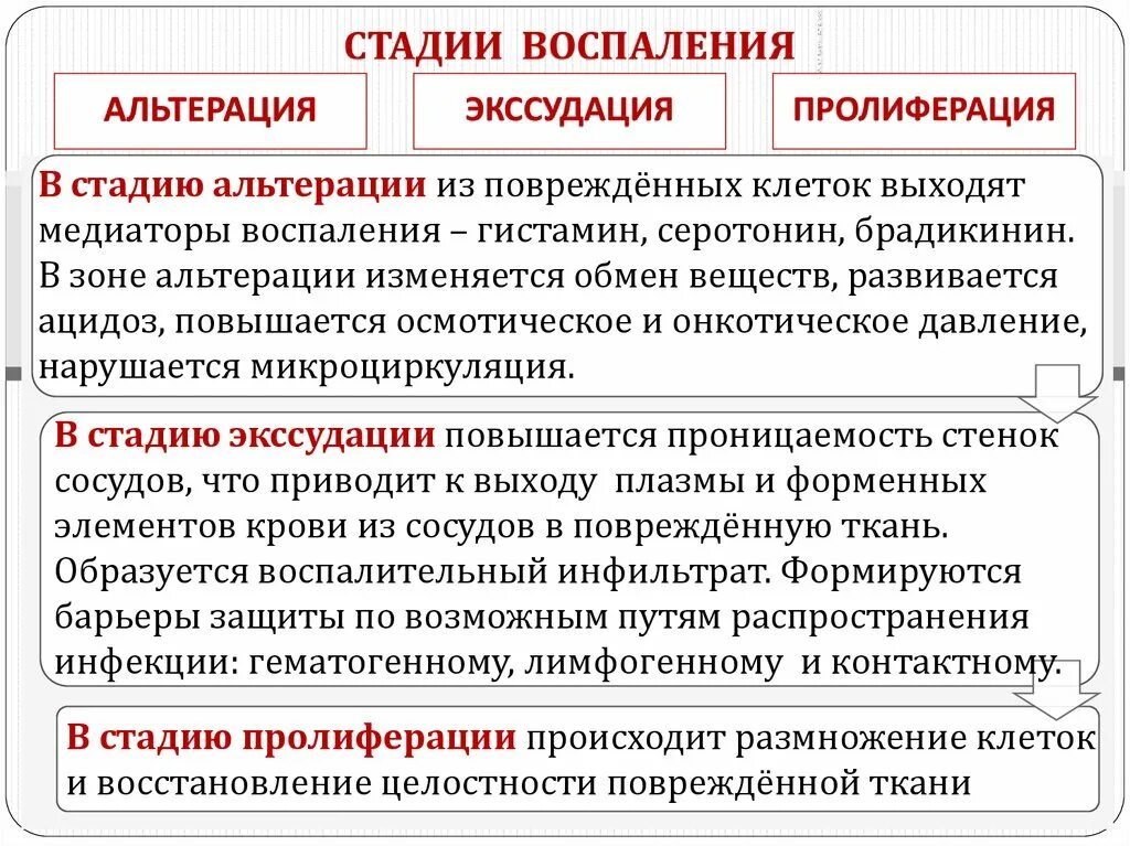 На следующем этапе происходит. Стадии воспаления альтерация. Характеристика стадий воспалительного процесса патофизиология. Воспаление альтерация экссудация пролиферация. Стадии воспаления кратко.