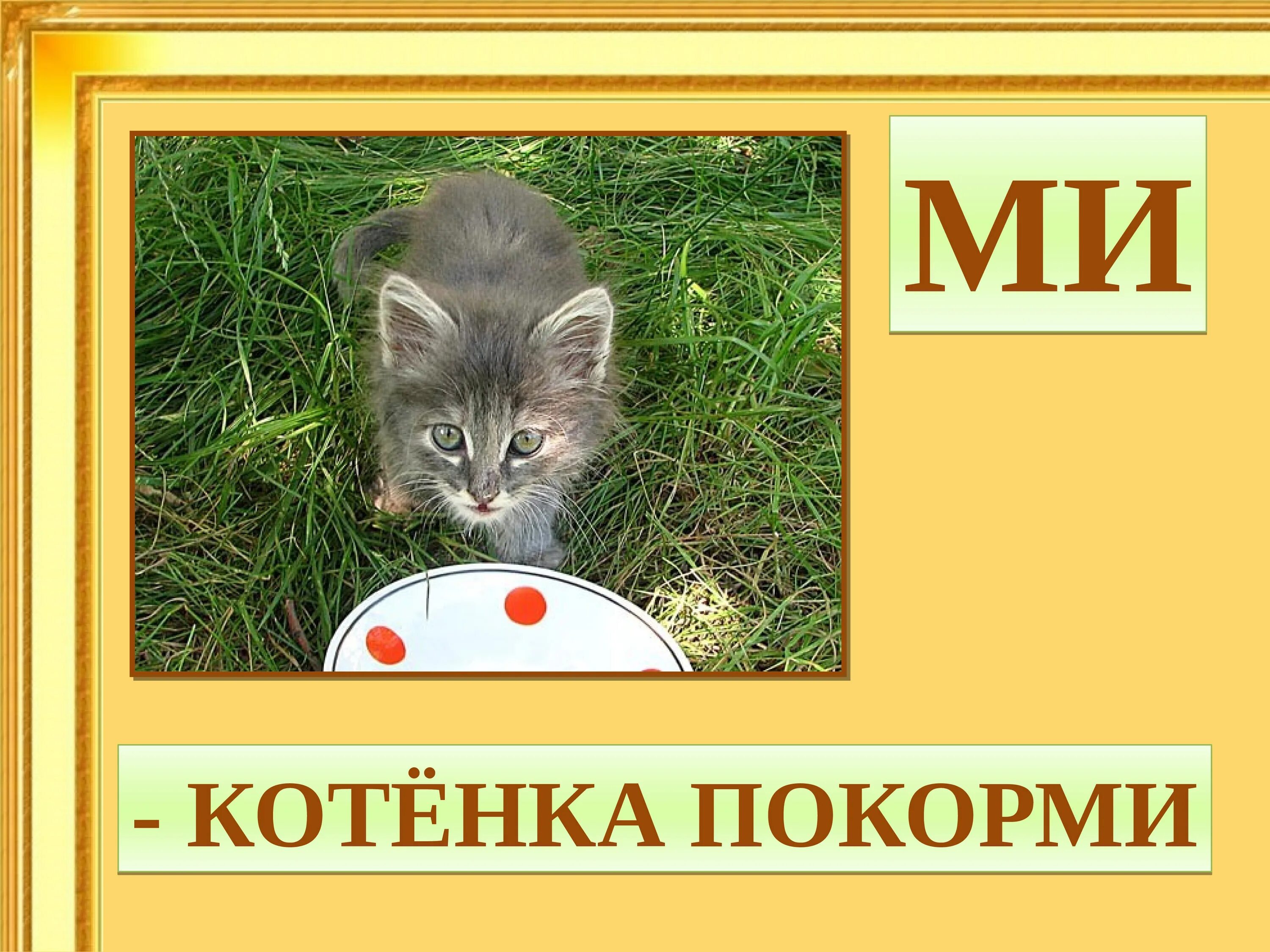 Накормил котенка падеж. Покорми котенка. ми котёнка покормить. до котёнка покорми ре. покорми котенка картинка.