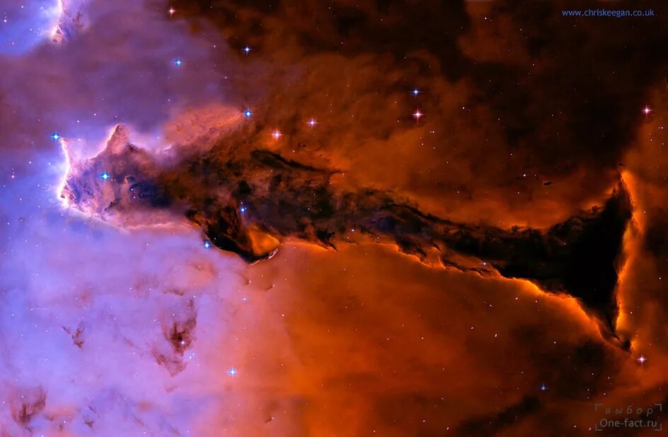 какие существа в космосе