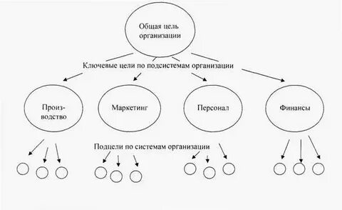 Этой самой организации в целом