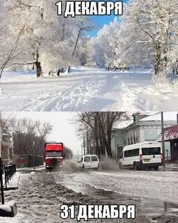 1 декабря прикол