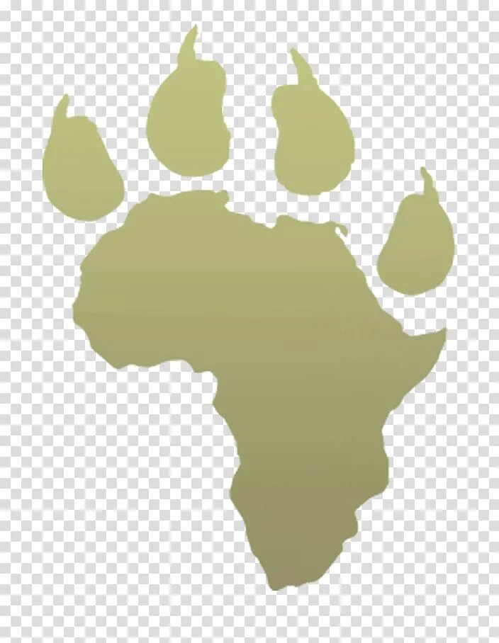 Панафриканист