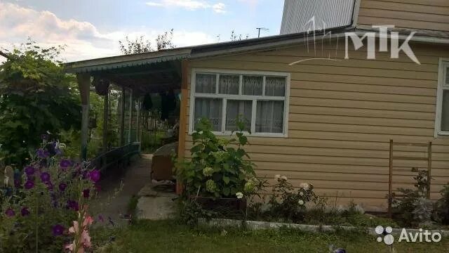 Снт волжанка орловка. Снт осеево. Дача орловка. Дача орловка. Дача орловка.