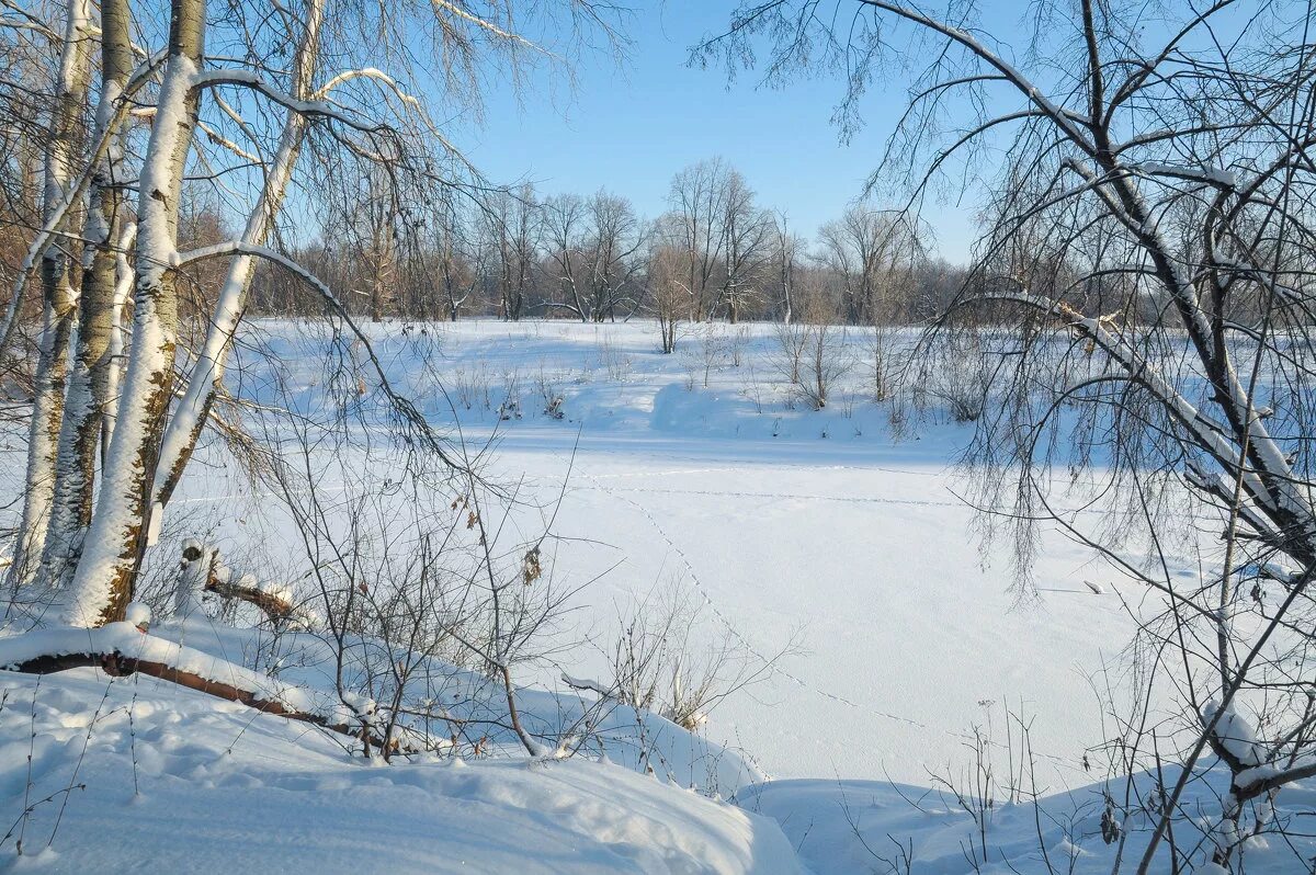 Река в разные времена года. Как дема изменяется в разные времена года. Река изменяется в разные времена года. Река зимой весной летом осенью. Москва-река изменяется в разных временах года.