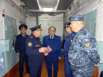 Сизо чита