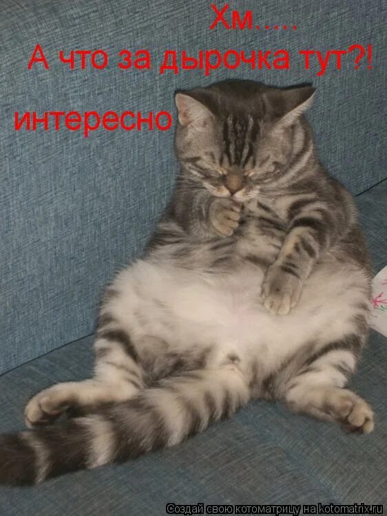 Тут любопытно. Самое интересное здесь. Что тут интересного. Три богатыря конь юлий. Конь юлий.