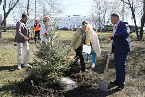 Аллея иркутск