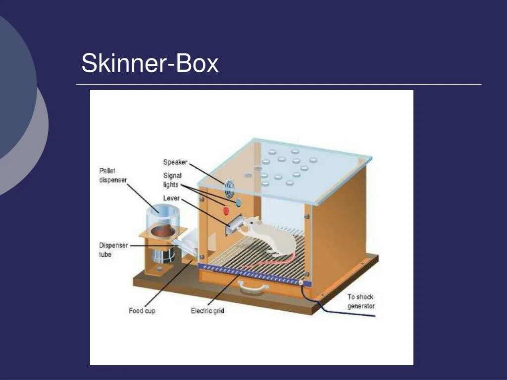 Su skinner cursor. Skinner box. skinner innovation pro.