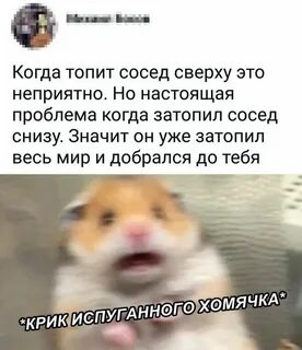 Что делать если топят соседи