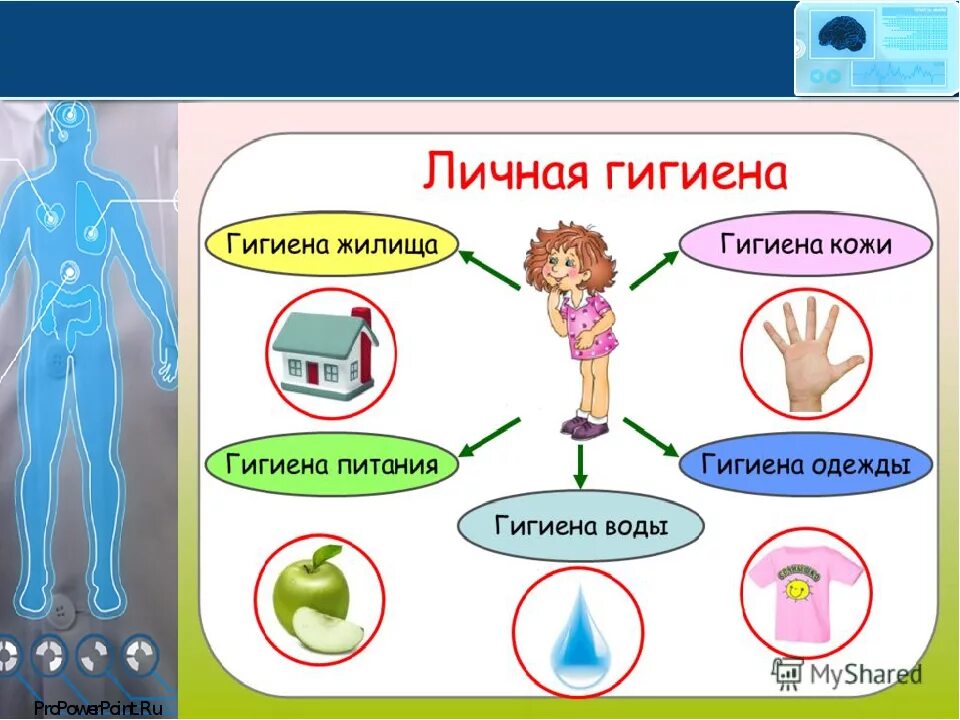 Как нужно ухаживать за кожей окружающий мир
