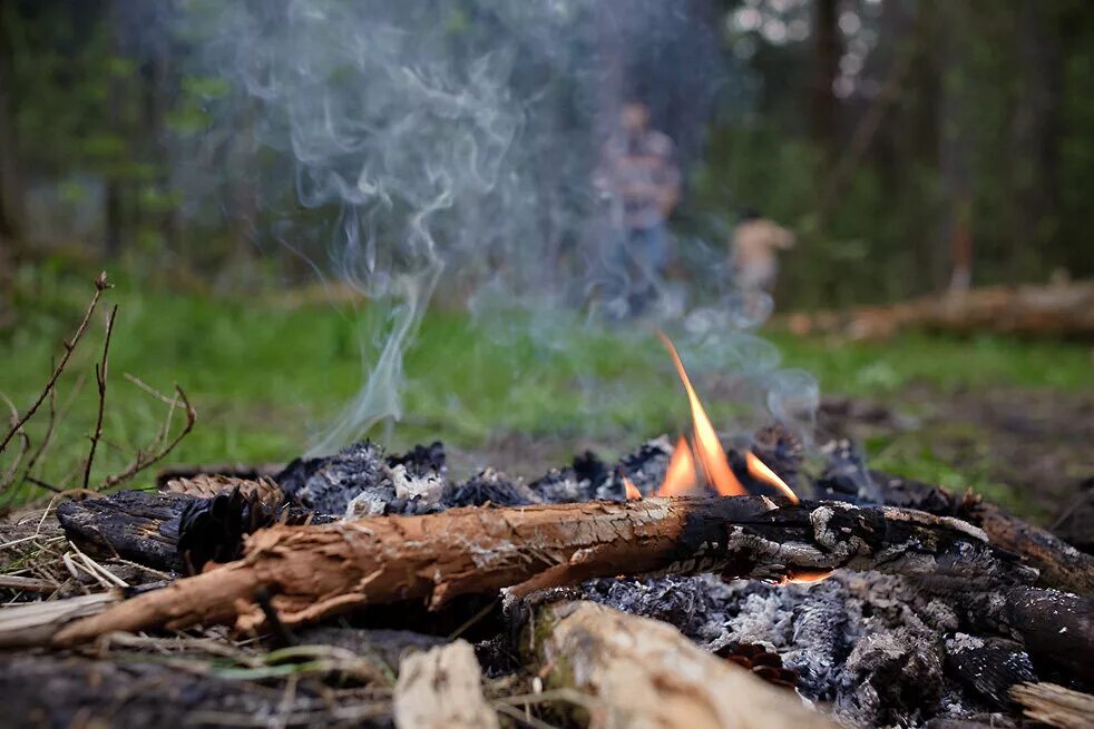 Огонь костер. Пожар в лесу картинки. Непотушенный костер. Пока я производил наблюдения мои спутники протоптали дорогу. Стихотворение на тему природа.
