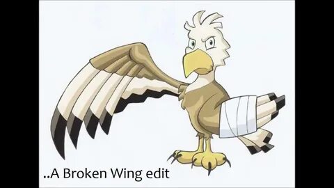 Broke wing