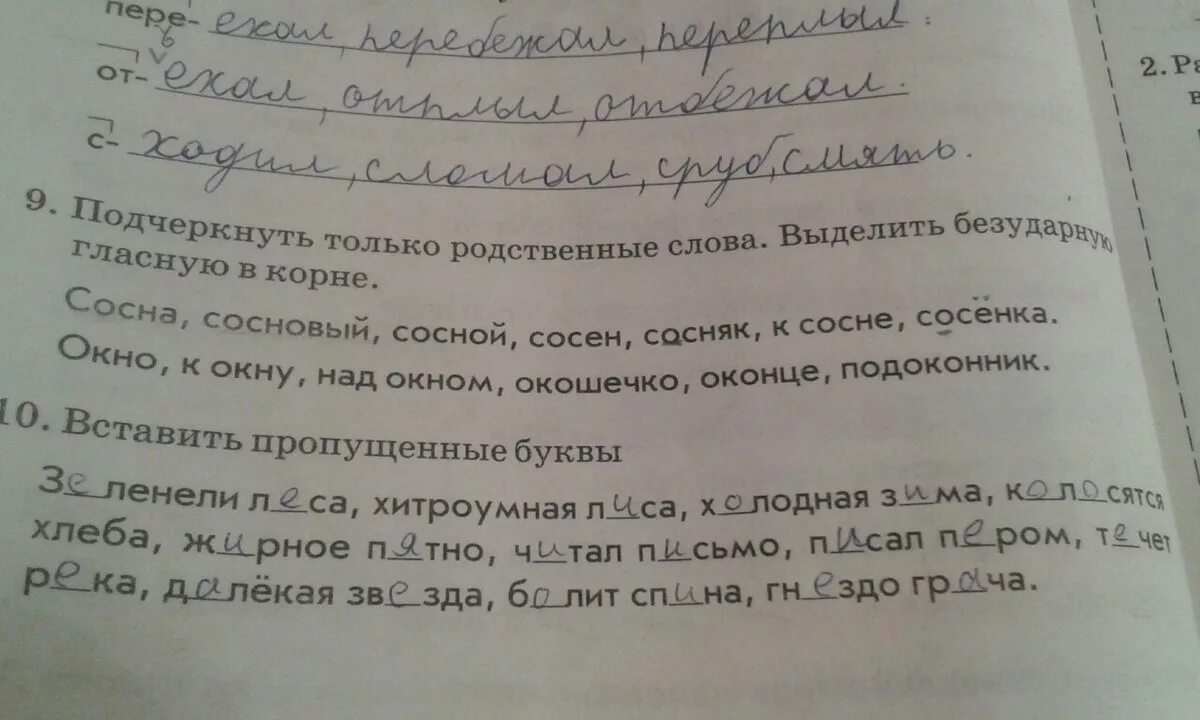 Какой корень в слове подчеркивают. Родственные слова к слову окно. Сосна родственные слова. Подчеркнуть только родственные слова. Подчеркнуть родственные слова сосна.