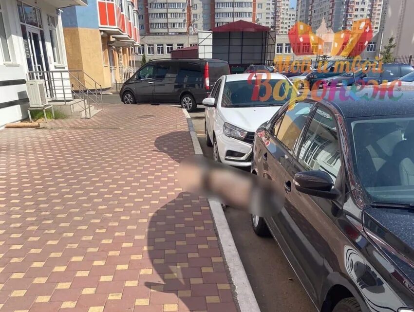 Воронеж выпавший из окна. В воронеже парень выпал из окна. мужчина выпал с окна бульвар победы 51а воронеж. новости воронежа бульвар победы 15.