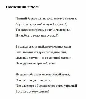 Последний шмель бунин стих