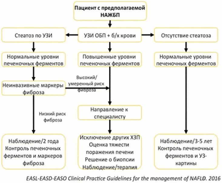 Неалкогольная жировая печень клинические рекомендации. Неалкогольная жировая болезнь печени клинические рекомендации 2022. Патогенез НАЖБП схема. Неалкогольная жировая болезнь печени (НАЖБП). Неалкогольная болезнь печени патогенез.