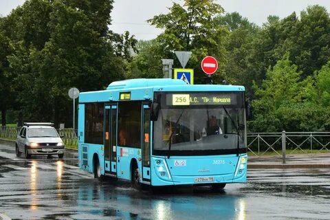 Автобус 256 спб