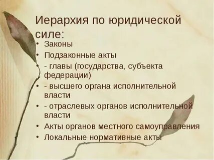 Глава акт