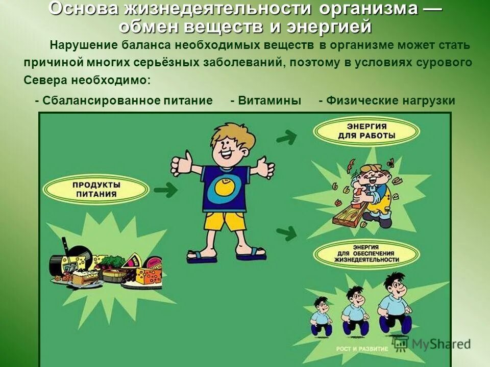 характеристика основ жизнедеятельности