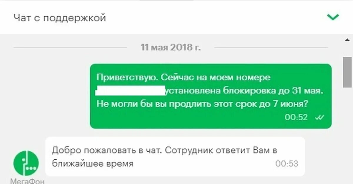 Оля чехова умскул фото. Удаленный сотрудник чат поддержки. Чат помощи. Чат с техподдержкой. Чат поддержка банк.