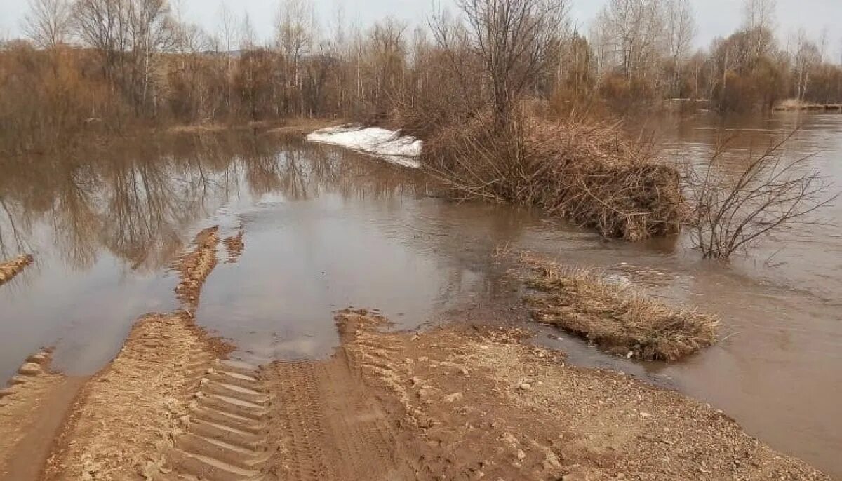 Паводок Алтайский край. Река разлилась. Речка Сеньга разлилась. Затопило дороги Алтая.