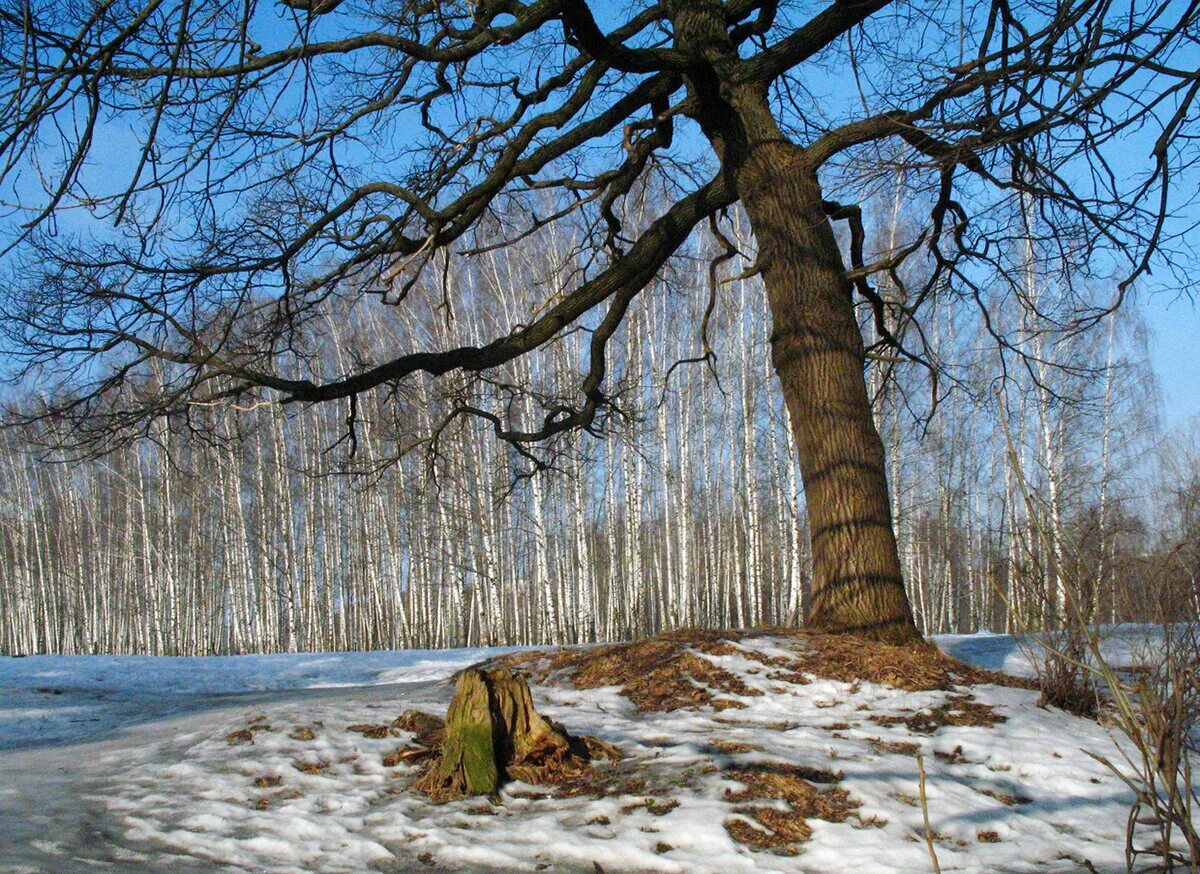 март начало апреля