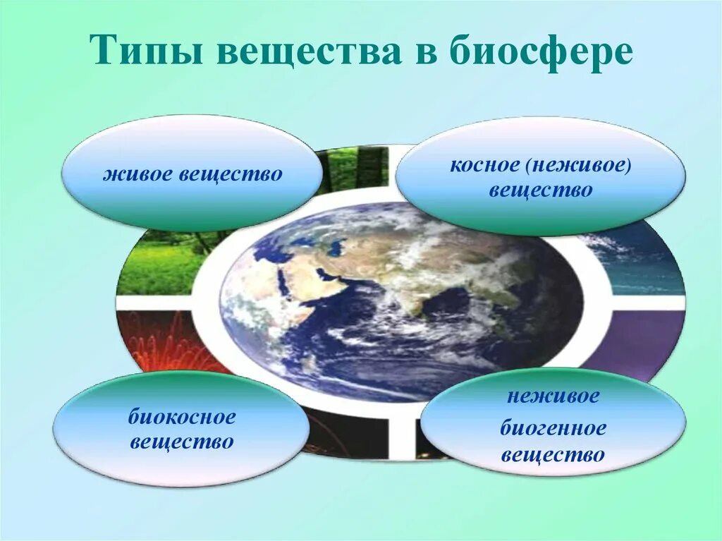 Биосфера живое вещество косное вещество биокосное вещество. Типы веществ в биосфере. Типы вещества в биосф Фере. Типы живого вещества в биосфере. Косным веществом биосферы является