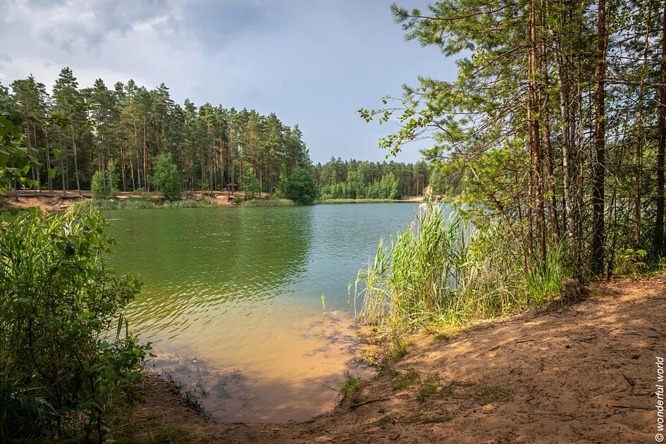 Озера под лугой. Зеленое озеро Луга Шалово. Озеро Шалово Лужский район. Озеро зеленое Лужский. Шалово-Перечицкий заказник Лужский.