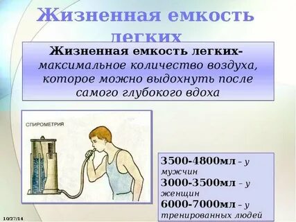 Буквы обозначающие объем легких