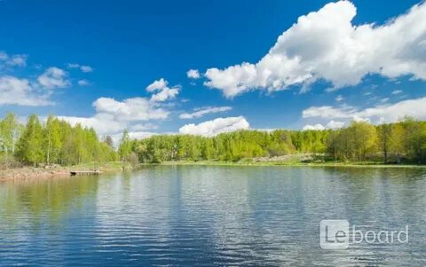 Участок у реки лес