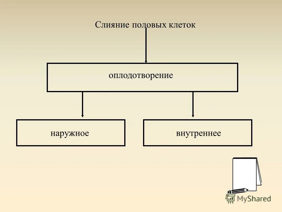 Определите и опишите способы размножения животных. Определите и опишите способы размножения животных